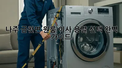 나주 금천면 원룸 이사? 용달 선택 완벽 가이드!
